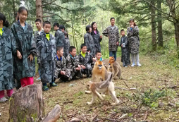參加華中地區(qū)夏令營體驗最真實的軍旅生活