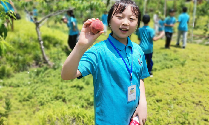 華中夏令營去哪里好