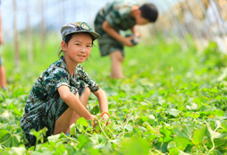 華中夏令營師資配比情況介紹