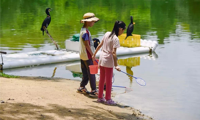 湖北夏令營怎么樣