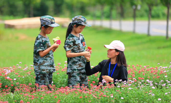 湖北哪家夏令營好
