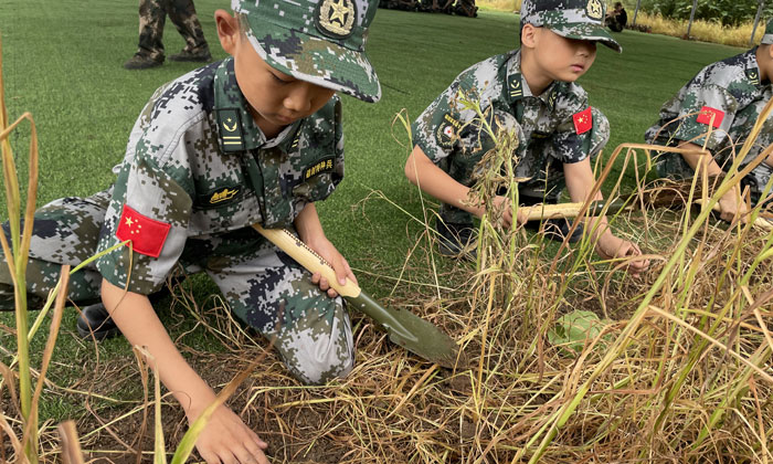湖北好的夏令營