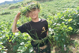 西南哪些軍事夏令營有報名條件