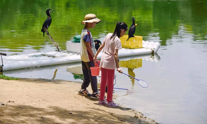 湖北夏令營(yíng)五大排名