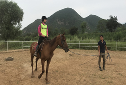 前往呼和浩特參加草原夏令營可以騎馬嗎？