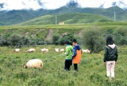 呼和浩特有適合親子的游學(xué)夏令營嗎？