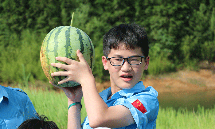 湖南口碑夏令營費用.gif
