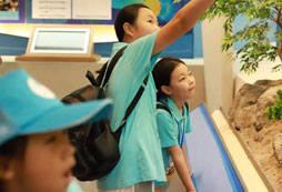 參加湖南拓展夏令營對孩子學習有什么好處？
