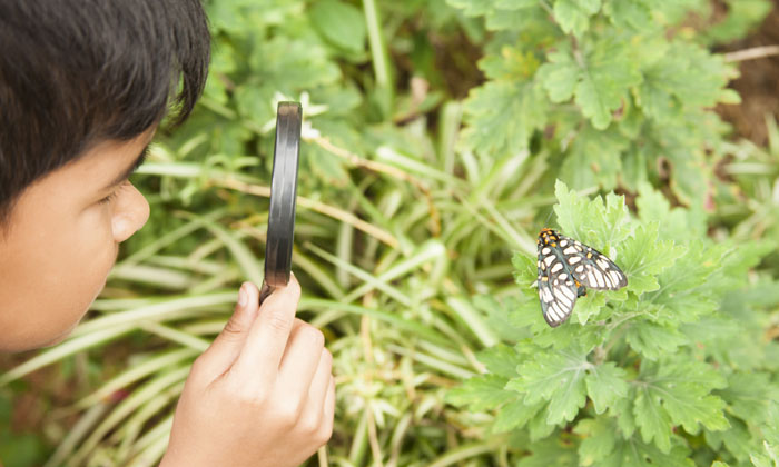 戶外技能夏令營好處