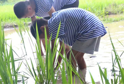 湖州小學生夏令營深受廣大孩子的喜愛
