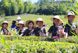 孩子參加湖州中學(xué)生科技夏令營的好處有哪些？