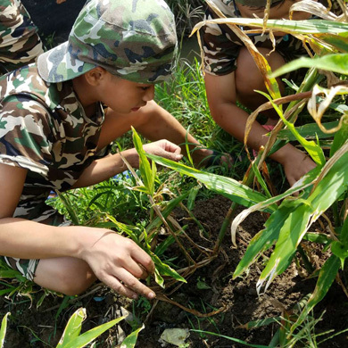 參加暑期軍事特訓(xùn)安全有保障嗎
