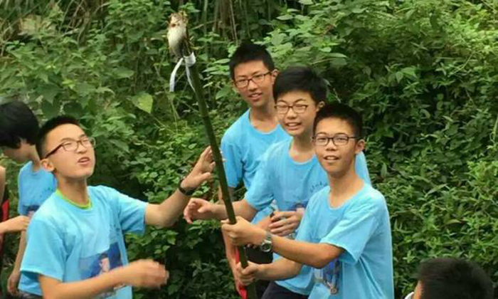 野外生存抓到魚啦