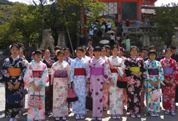 日本夏令營介紹日本的櫻花之最