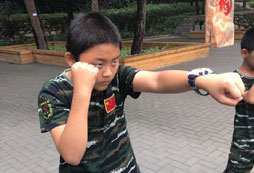軍體拳