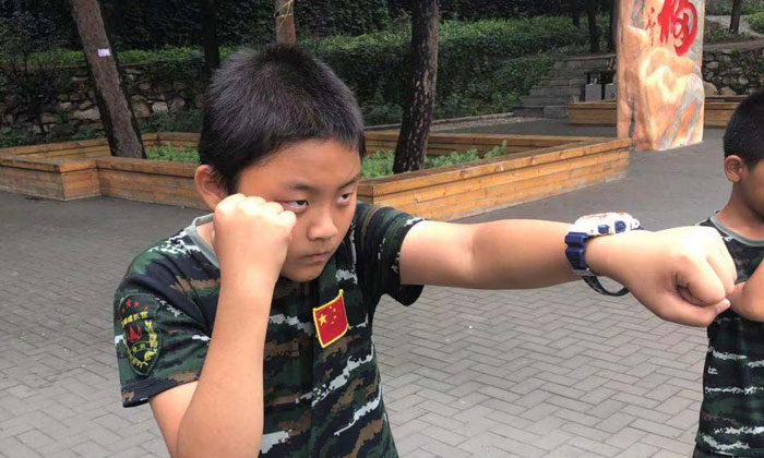軍體拳
