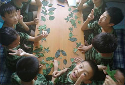 收集樹葉