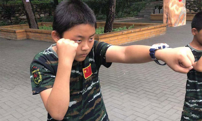 看拳