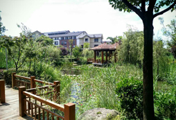 活動(dòng)環(huán)境
