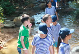 更適合孩子參加的建德中學(xué)生夏令營