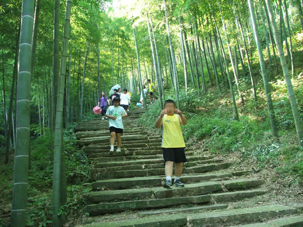 科學(xué)運(yùn)動減肥夏令營