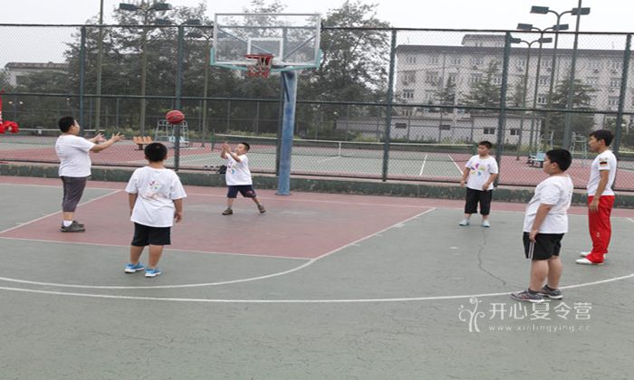 減肥夏令