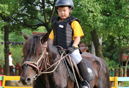參加江蘇馬術(shù)運(yùn)動(dòng)夏令營(yíng)的注意事項(xiàng)和好處