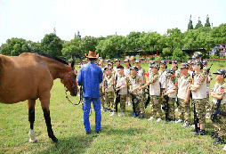 江蘇軍事夏令營價(jià)格