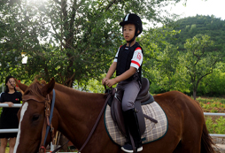 國慶馬術夏令營有哪些特色內容？