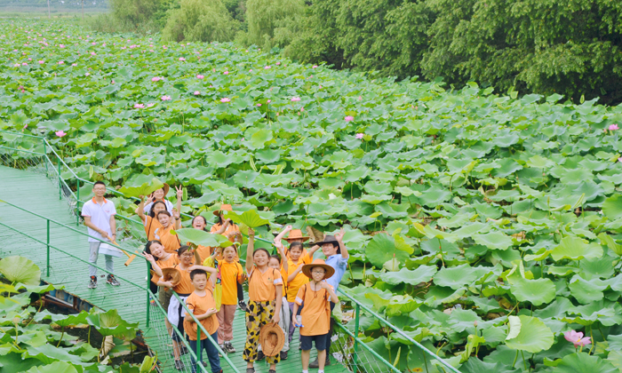 嘉善青少年夏令營課程多少錢