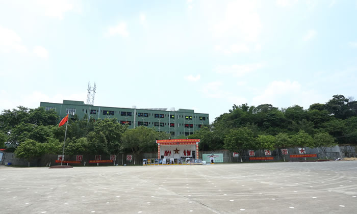 中小學(xué)生參加嘉興學(xué)能夏令營開發(fā)大腦潛能！