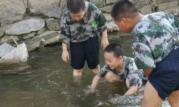 參加濟南暑期夏令營能學(xué)到什么？