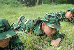 軍事營收獲成長快樂