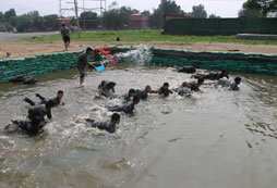水池鍛煉