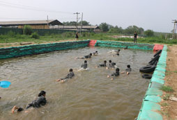 水池鍛煉1