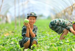 參加10天軍事夏令營(yíng)去哪報(bào)名，五大熱門活動(dòng)推薦
