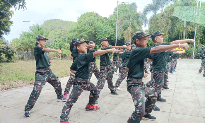 14天小學(xué)生軍事夏令營有哪些