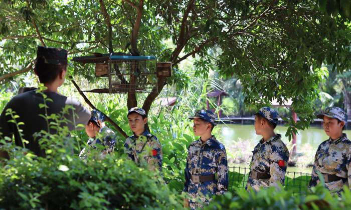 軍訓夏令營哪家好