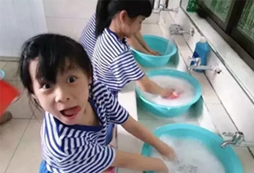菁英樹教育內(nèi)容有哪些？
