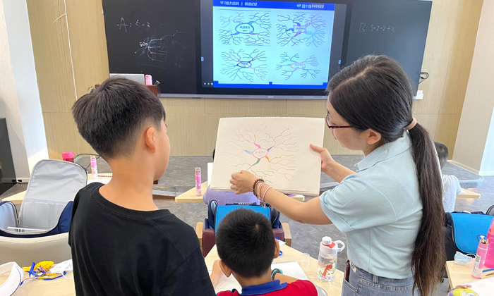 針對(duì)學(xué)生的思維導(dǎo)圖提出問(wèn)題