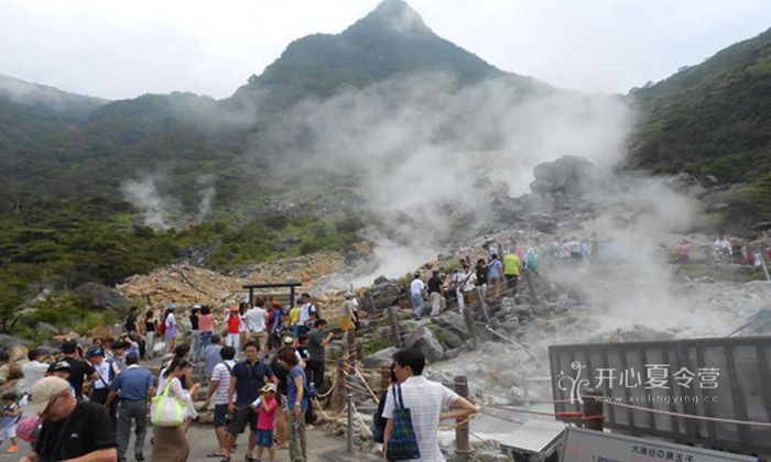 參加韓國青少年夏令營需要多少費用？