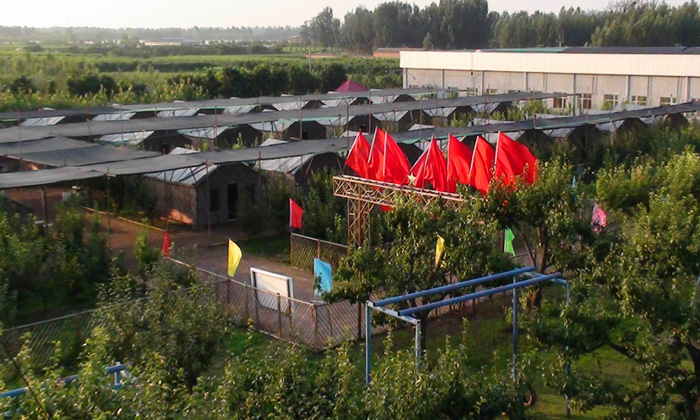 北京青少年軍事夏令營