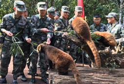 昆明軍事夏令營(yíng)2024報(bào)名須知有哪些？