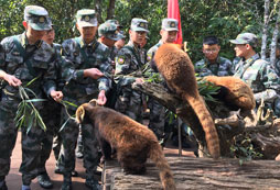 參加昆明兒童軍訓夏令營一個讓孩子蛻變的舞臺