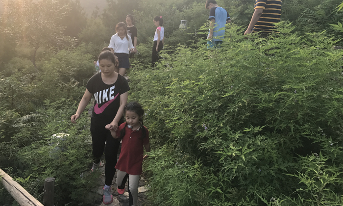 廊坊研學(xué)夏令營去哪里好