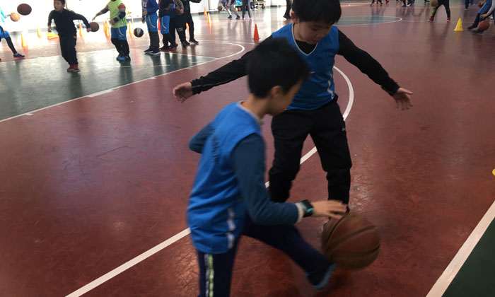 2024中小學(xué)生籃球集訓(xùn)營(yíng)