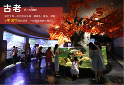 一次國學經(jīng)典夏令營,讓孩子受益終生!