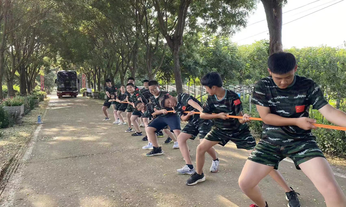 拔河