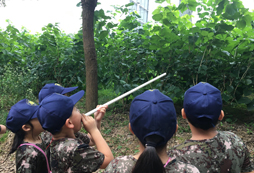 參加麗江中學生夏令營讓孩子學會獨立