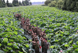 溧陽軍事夏令營的費用組成